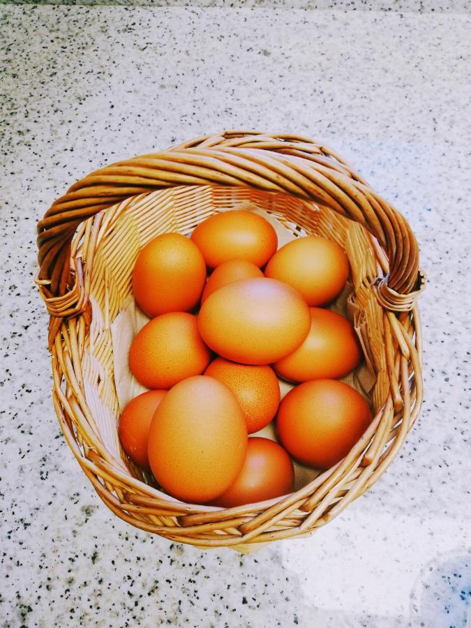 Cal Pau De La Gralla Pobla de Montornés エクステリア 写真